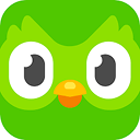 Duolingo Design