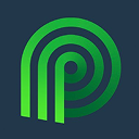Palmetto UX 